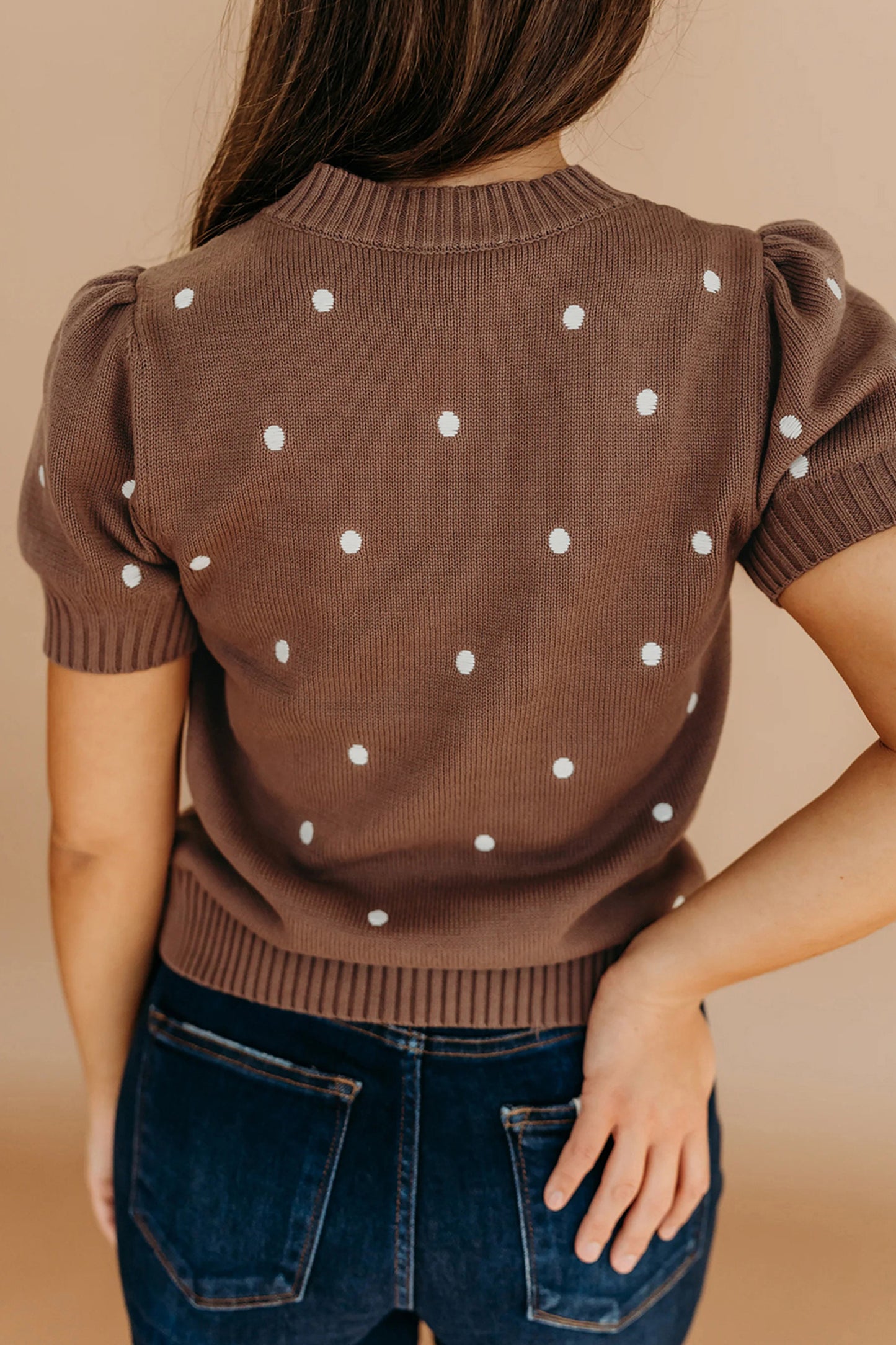 Chestnut Elegant Polka Dot Bubble Short Sleeve Sweater